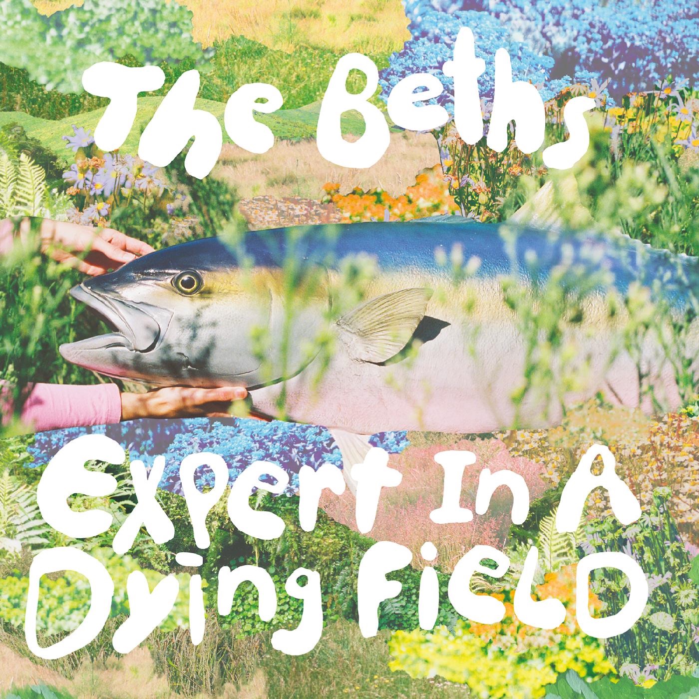 Expert in a Dying Field by The Beths