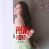 Pháo Hồng (Cover) - Single