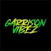 Garrison Vibez Freestyle - Single album lyrics, reviews, download