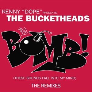 The Bomb! (These Sounds Fall Into My Mind) [The Remixes]