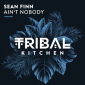 Ain't Nobody (Extended Mix) artwork