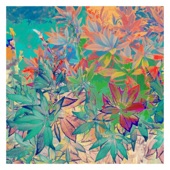Tropical Fruits - EP artwork
