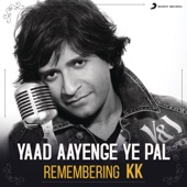Yaad Aayenge Ye Pal (Remembering KK) artwork