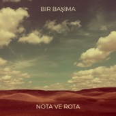 Bir Başıma artwork