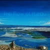 The Flow of H2eau