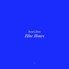 Bear's Den - Blue Hours artwork