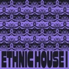 Ethnic House, Vol. 1