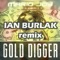 Gold Digger (Ian Burlak Remix) - Mario Joy lyrics