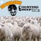 Counting Sheep (feat. MC White Owl) - Silent Someone lyrics