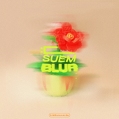 kiddorecords D-SUEM-BLUR - EP - kiddorecords