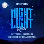 The Ride (Night Light Riddim) artwork