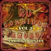 20 Corridos Famosos, Vol. 3 artwork