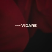 Vidare artwork