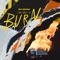 Burn artwork