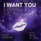 I want you (feat. KPQ) [Salsa Version] artwork
