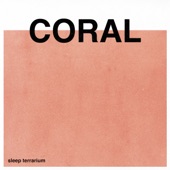 Coral artwork