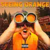 Seeing Orange - Single album lyrics, reviews, download
