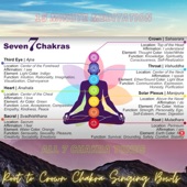 All 7 Chakra Tones Crystal Singing Bowl Meditation, 15 Minutes artwork