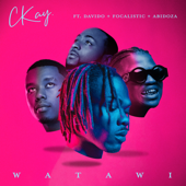 WATAWI (feat. Davido & Focalistic & Abidoza) - Single - CKay