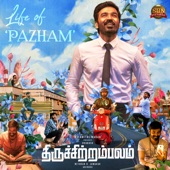 Life of Pazham (From "Thiruchitrambalam") artwork