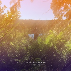 Joey Pecoraro - Finding Parking