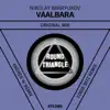 Stream & download Vaalbara - Single