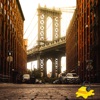 Coffee in Brooklyn - Single