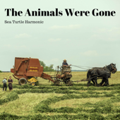 The Animals Were Gone - Sea Turtle Harmonic