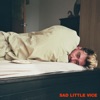 Sad Little Vice - Single