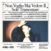 Last Days: Non Voglio Mai Vedere Il Sole Tramontare artwork