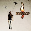 Flyleaf (Deluxe Edition), 2022