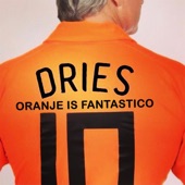 Oranje Is Fantastico artwork