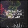 Spre înălțime b/w Supranatural - Single