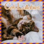 Cat Lullabies: Gentle Music to Make Your Cat Sleep artwork