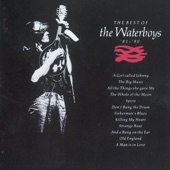 The Best of the Waterboys (1981 - 1990) artwork