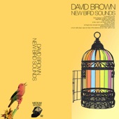 David Brown - birds singing in english, mysteriously