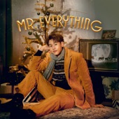 Mr. Everything artwork