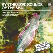 Synthesized Sounds of the Sea artwork