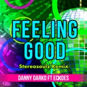 Feeling Good (Stereosoulz Remix) [feat. Eckoes] artwork