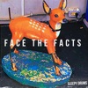 Face the Facts - Single