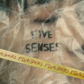 FIVE SENSES artwork