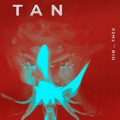 Tan (feat. RIO) artwork