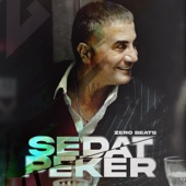 Sedat Peker artwork
