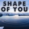 Shape of You (Instrumental) artwork