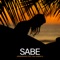 Sabe (feat. Ana Gabriela) cover