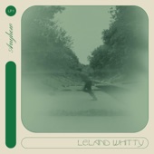 Leland Whitty - Svalbard