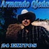 24 Éxitos