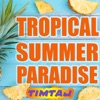 Tropical Summer Paradise, 2019