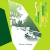 Scene of Jazz - Skylark