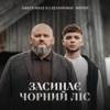 ЗАСИНАЄ ЧОРНИЙ ЛІС - Single